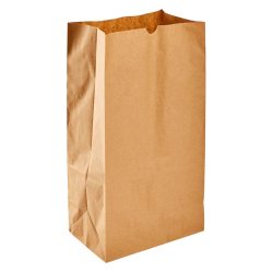 12lb-paper-bag